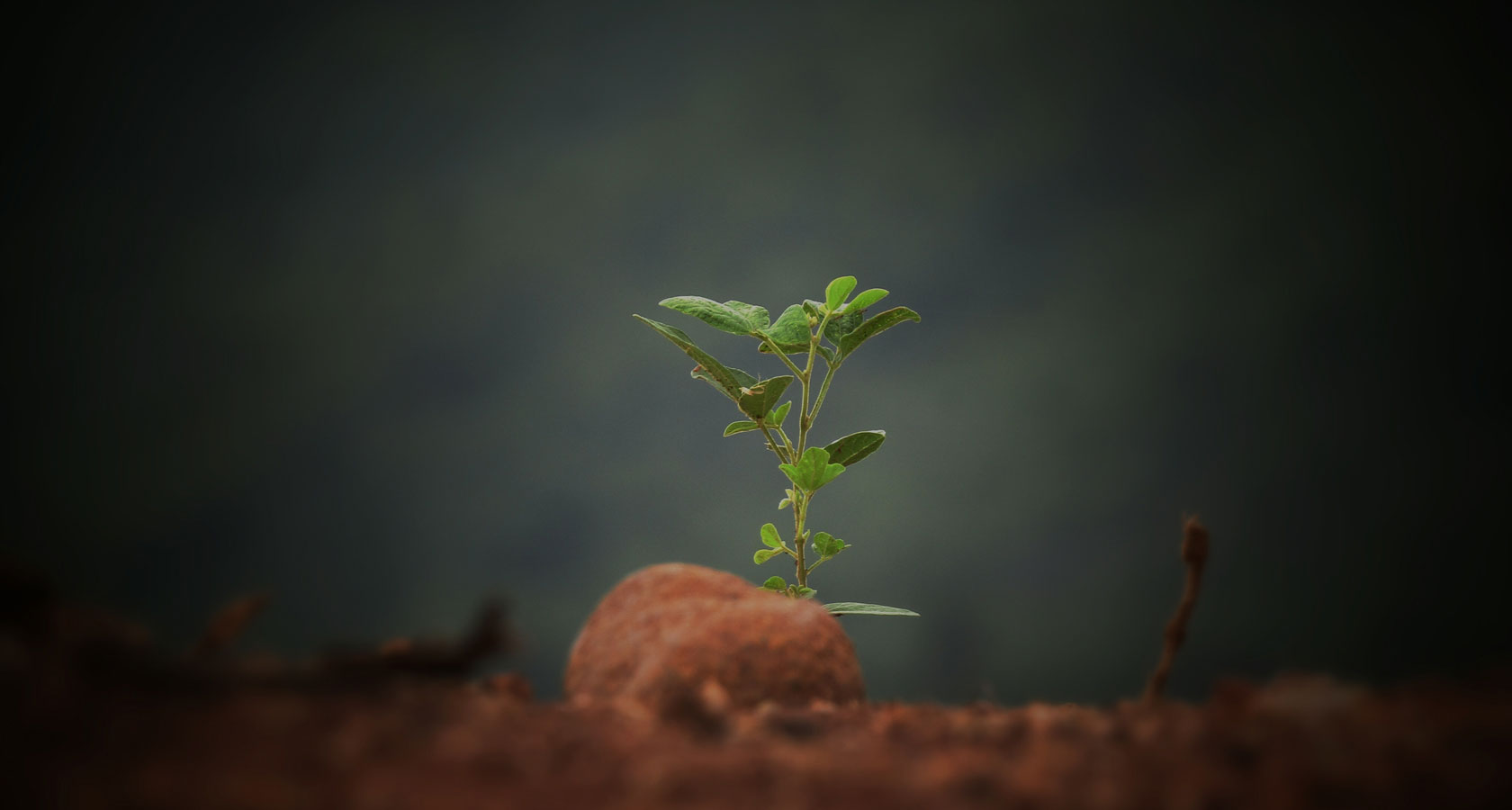 新葡的京集团350vip8888(中国)有限公司官网